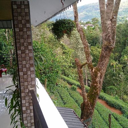 Green Tea View Munnar Eksteriør billede