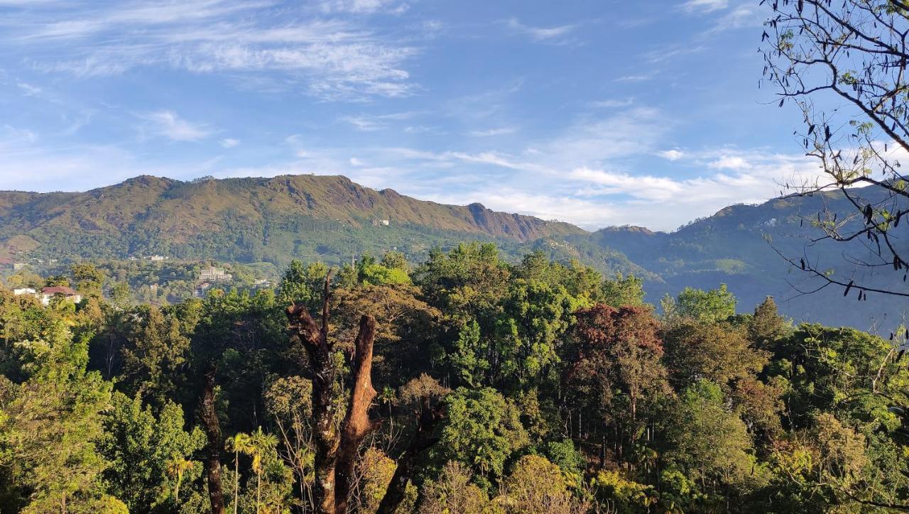 Green Tea View Munnar Eksteriør billede